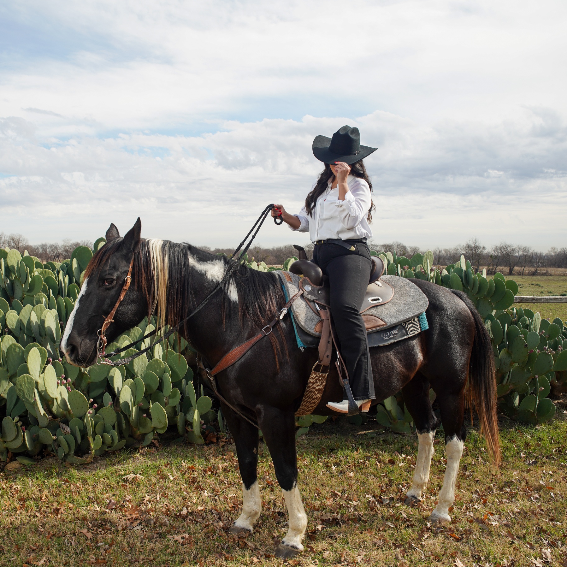 Photography — frame 03836